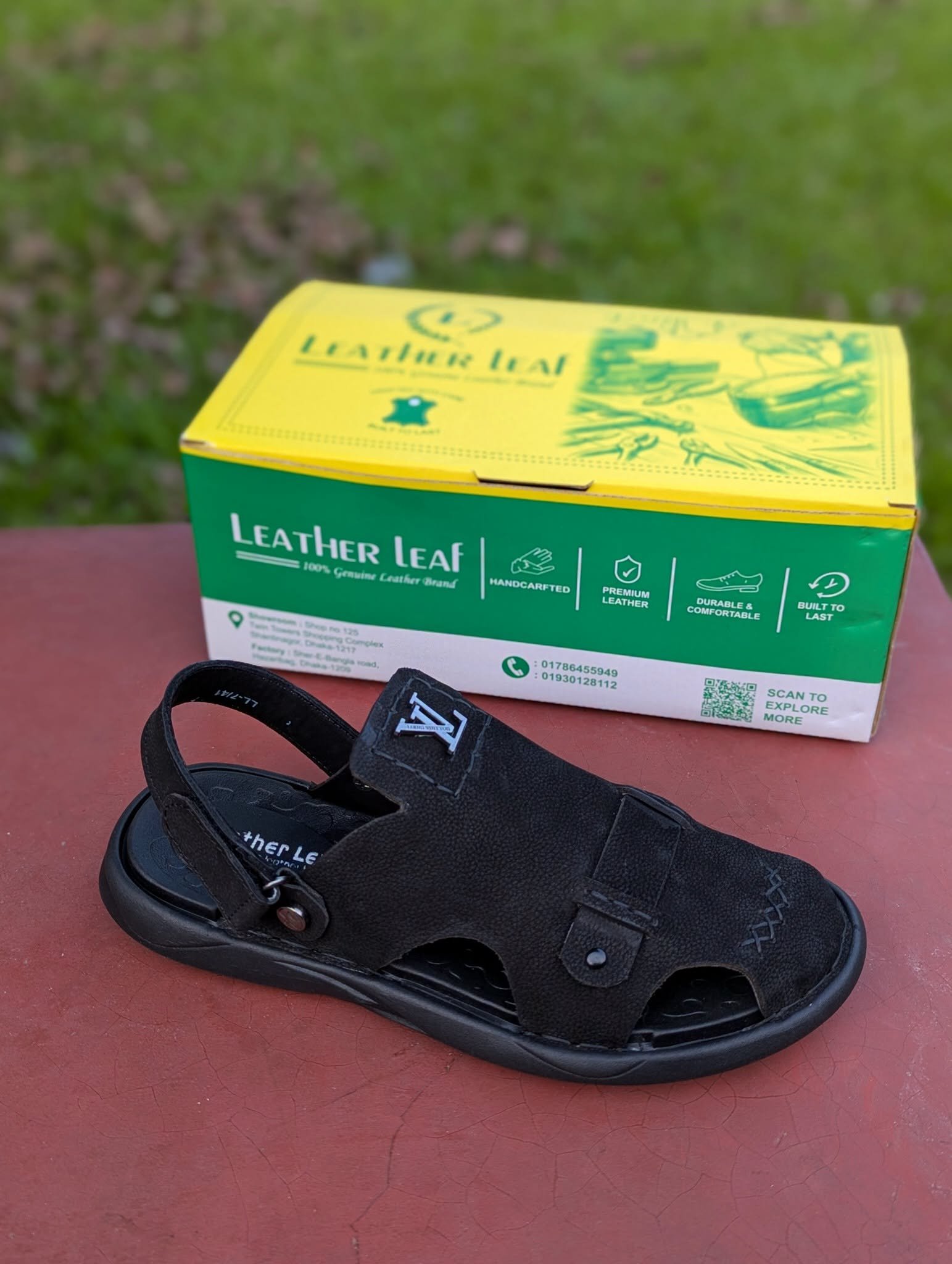 l 36 bl